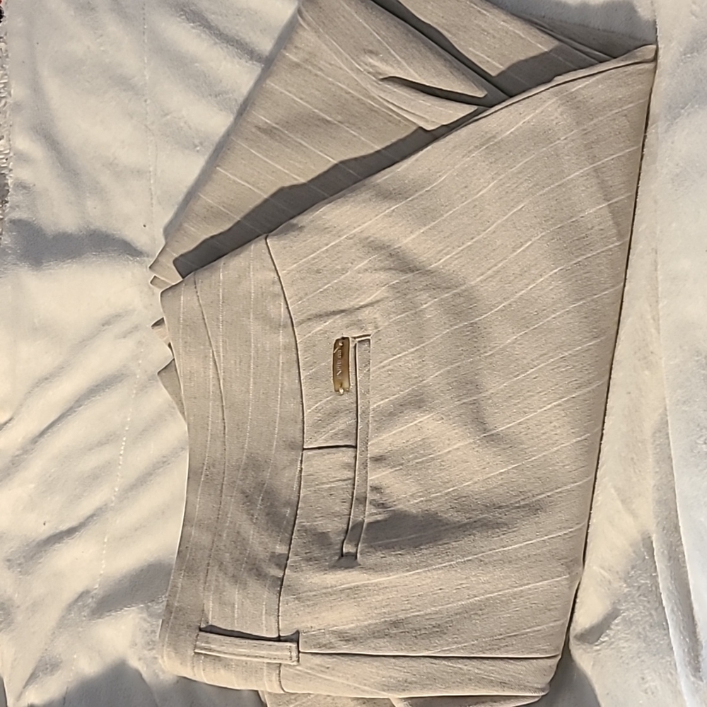 Express Editor Dress Pants